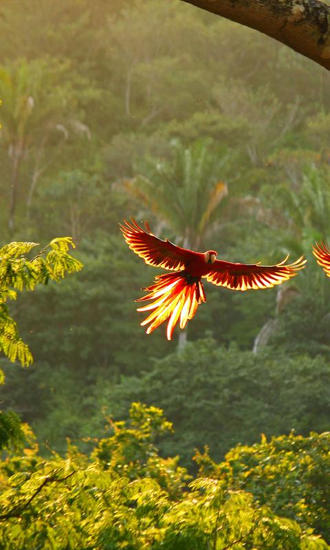 Costa Rica Rundreisen