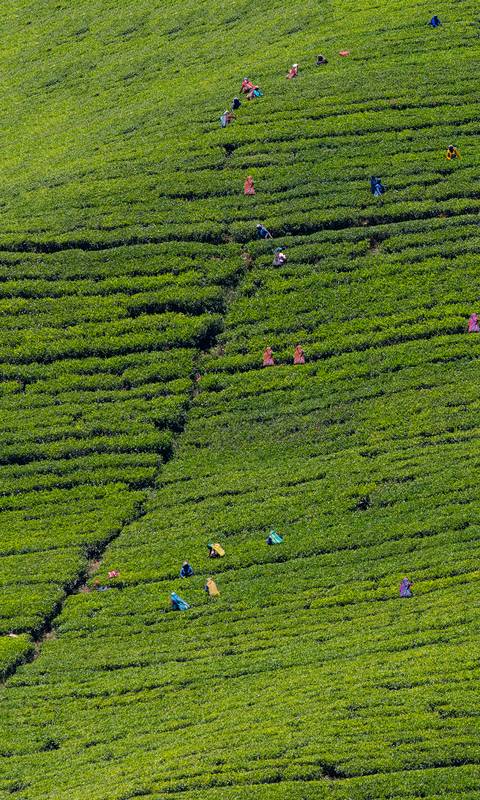 Sri Lanka Reisen