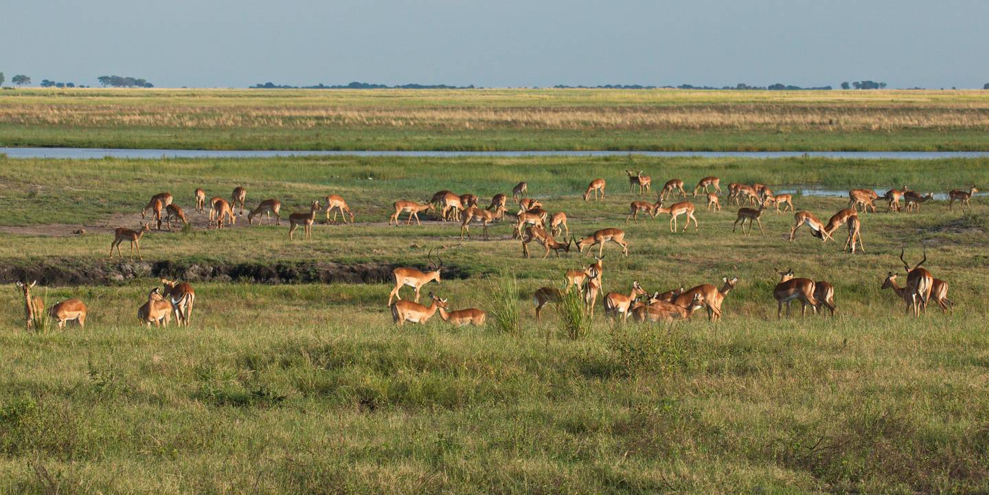 Reiseziel Afrika, Botswana, Bwabwata Nationalpark Reiseziel Afrika, Botswana, Bwabwata Nationalpark