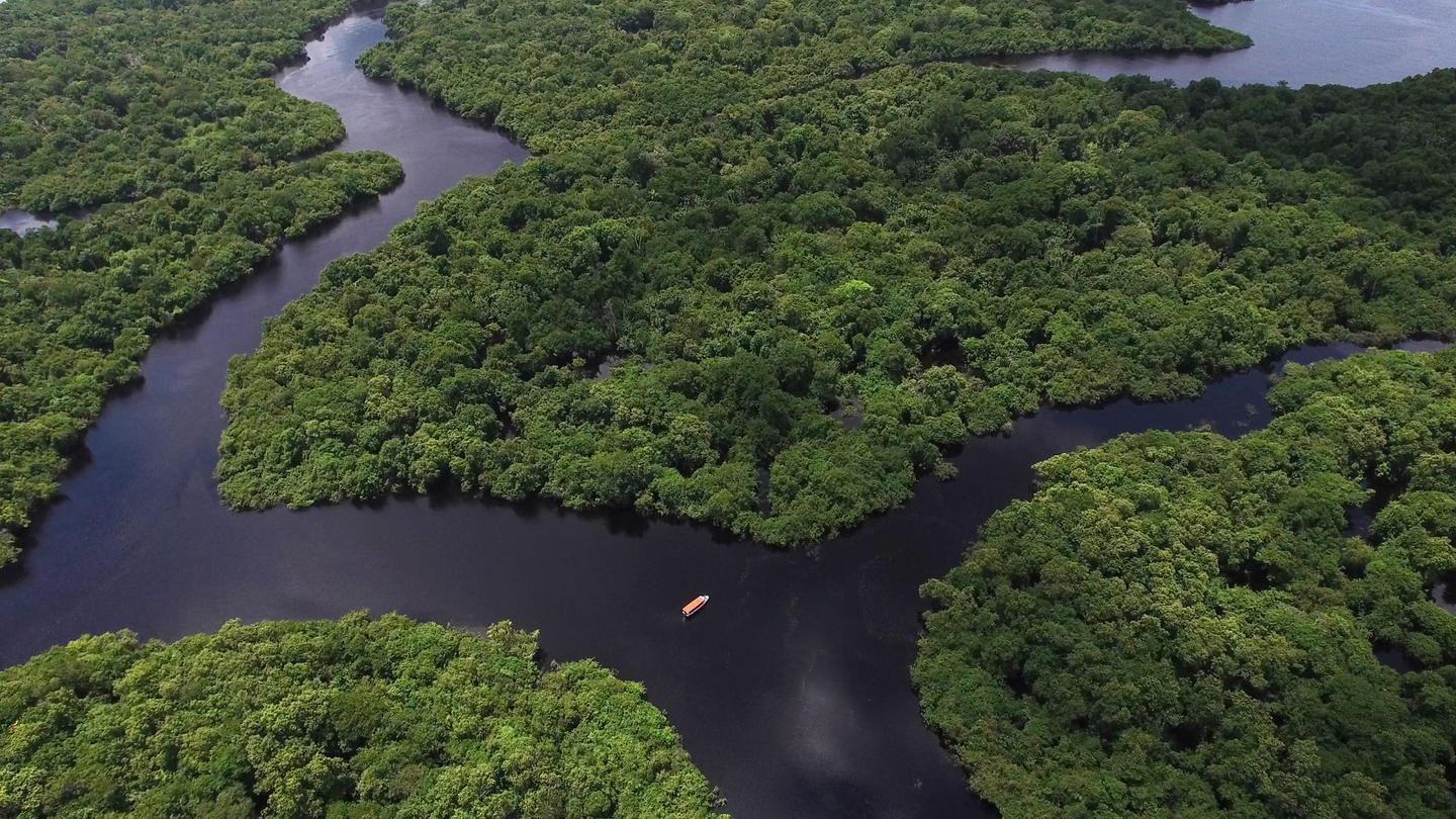Südamerika Rundreisen, Brasilien, Amazonas, Luftaufnahme_