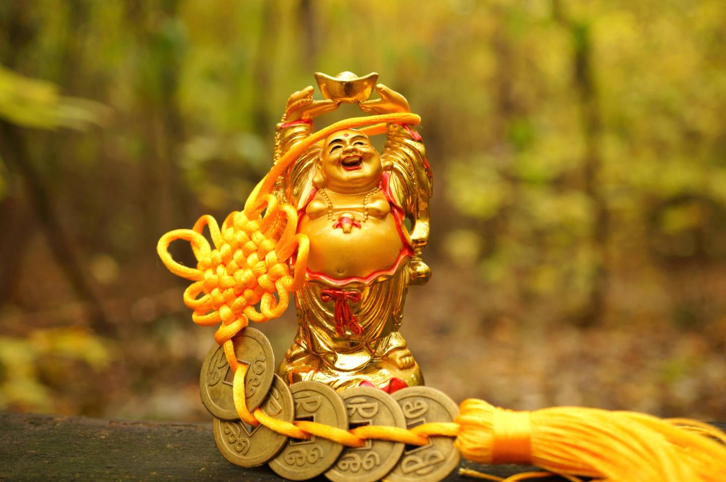 Bavaria Fernreisen - Japan Rundreisen 2026