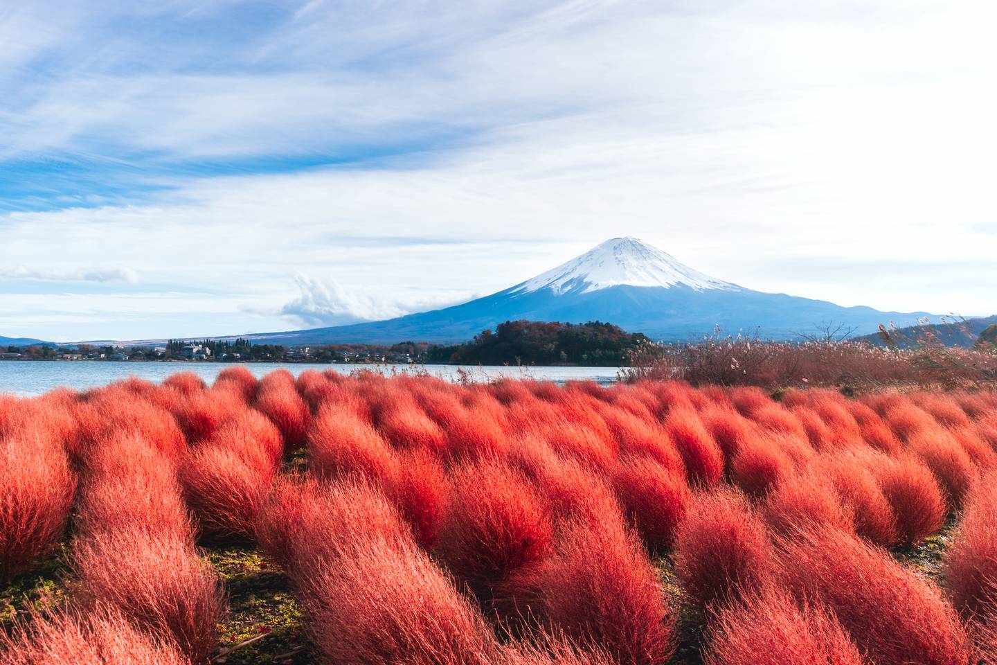 Japan Fuji Japan Fuji