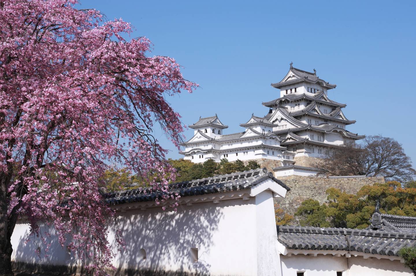 Japan Himej