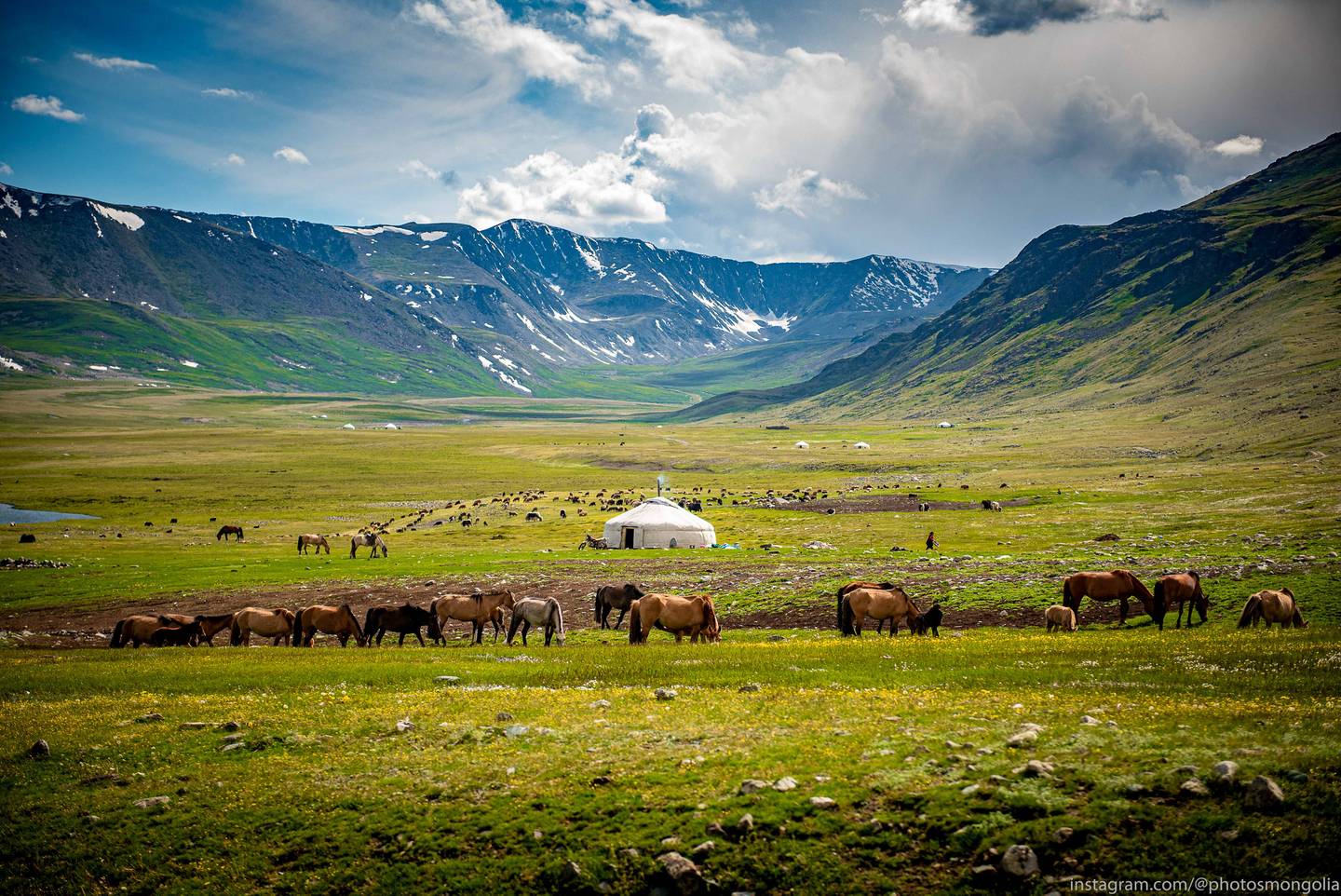 Reiseziel Zentralasien, Kasachstan, Falkenjäger Reiseziel Zentralasien, Kasachstan, Falkenjäger