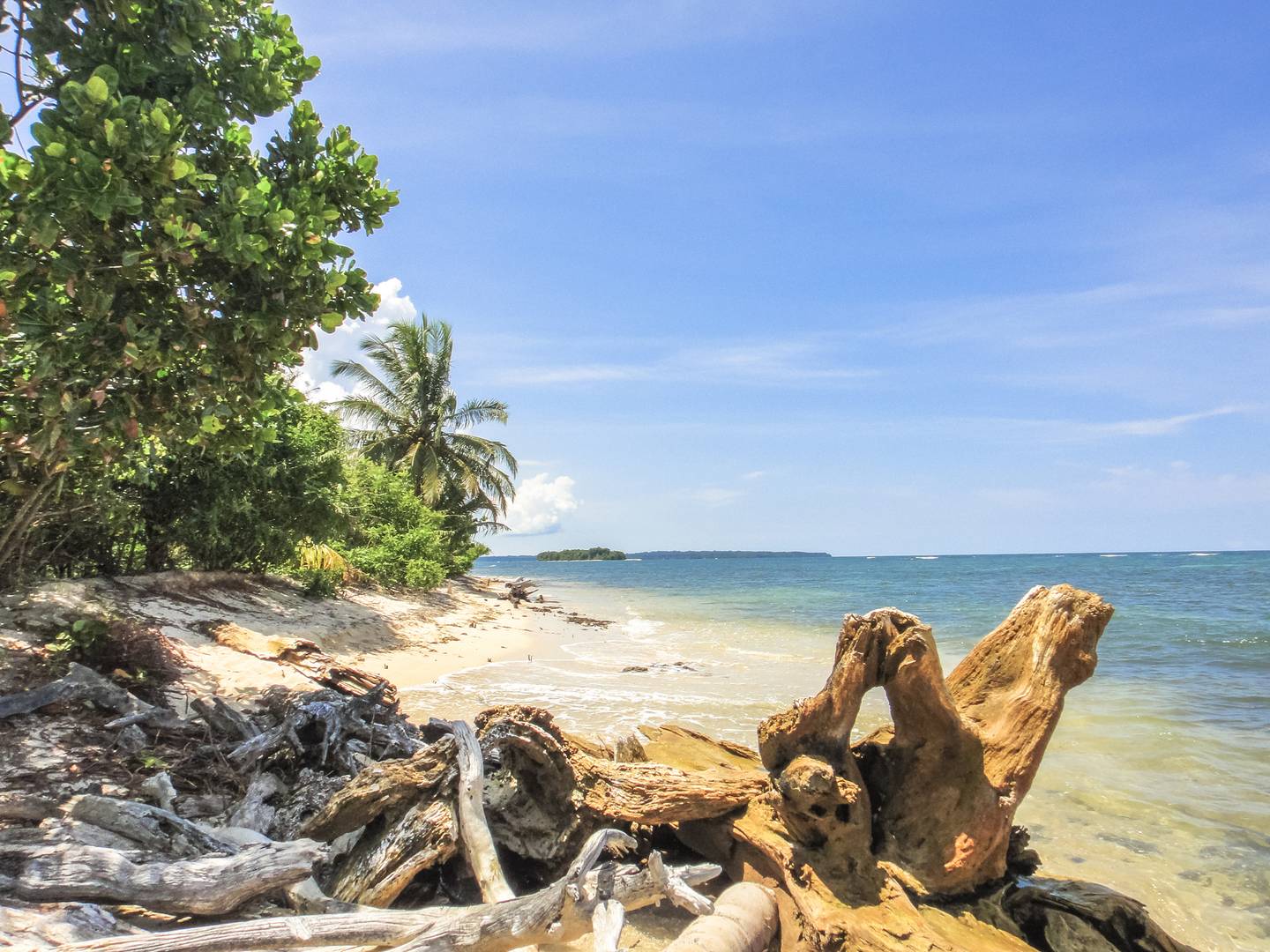 Bavaria Fernreisen - Ihr Spezialist für Fernreisen weltweit Bavaria Fernreisen - Japan Rundreisen 2026