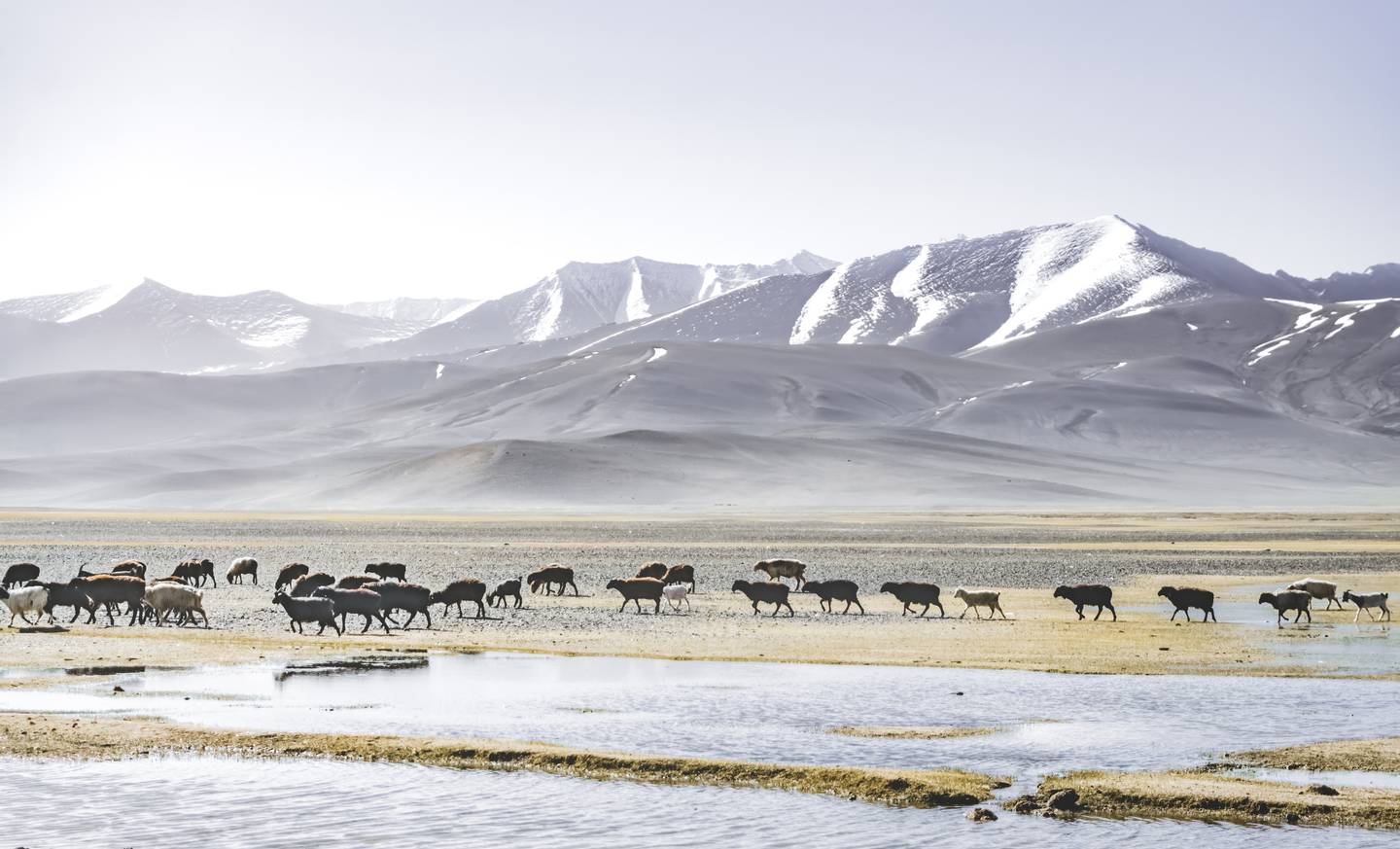 Reiseziel Zentralasien, Tadschikistan, Pamir Gebirge