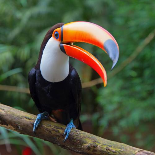 Costa Rica Rundreisen