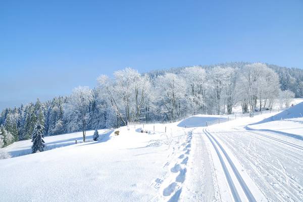 Wintersporthotels in Skigebieten