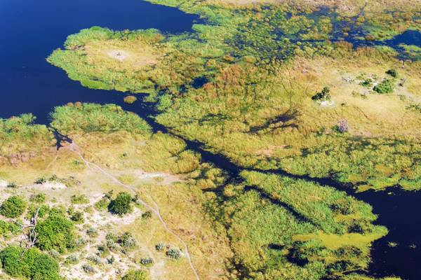 Reiseziel Afrika, Botswana, Botswana Okawango Delta Reiseziel Afrika, Botswana, Botswana Okawango Delta