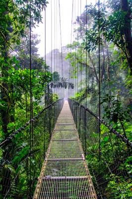 Reiseziel Amerika, Costa Rica, Mistico Hängebrücke Reiseziel Amerika, Costa Rica, Mistico Hängebrücke