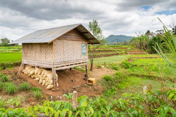 Reiseziel Asien Laos, Reisfeld mit Hütte Reiseziel Asien Laos, Reisfeld mit Hütte
