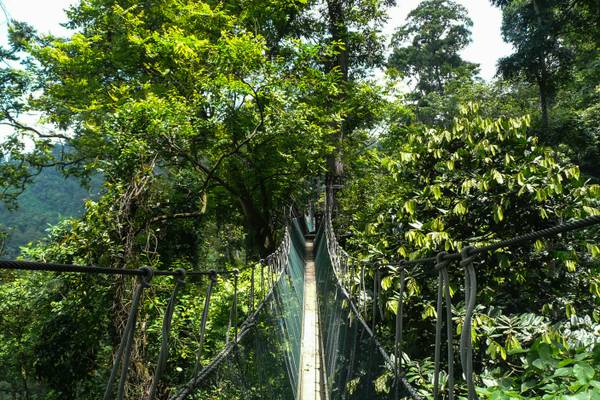 Reiseziel Asien, Malaysia, Taman Negara Nationalpark Reiseziel Asien, Malaysia, Taman Negara Nationalpark