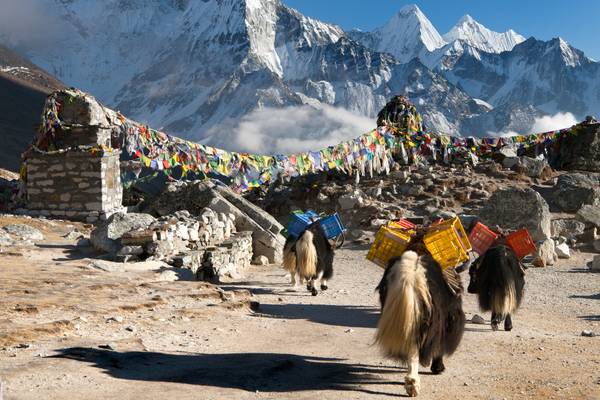 Reiseziel Asien Nepal, Mount Everest Base Camp Reiseziel Asien Nepal, Mount Everest Base Camp