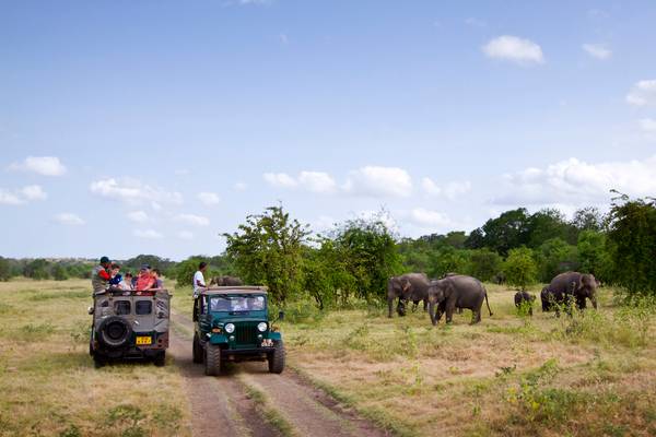 Reiseziel Asien Sri Lanka, Minneriya Nationalpark Reiseziel Asien Sri Lanka, Minneriya Nationalpark