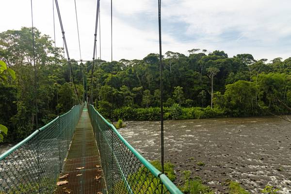 Costa Rica, Sarapiqui-Fluss, Haengebruecke