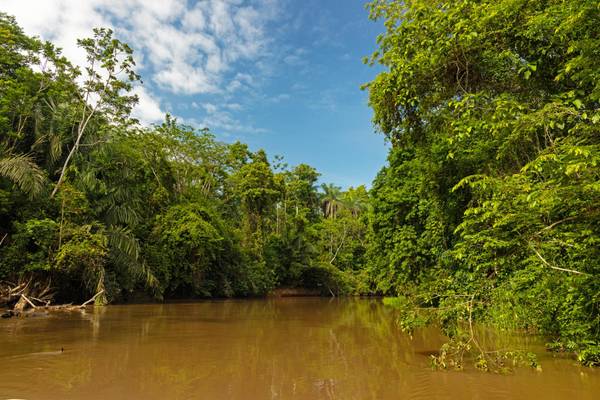 Costa Rica_Cano Negro, Rio Frio