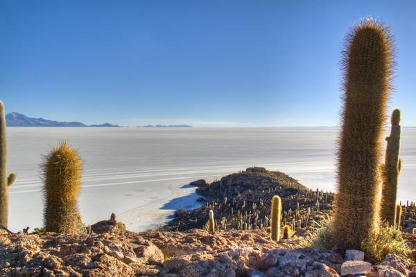 Bolivien, Uyuni, Salzwueste