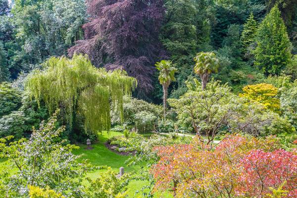 Irland, Kildare, Japanischer Garten