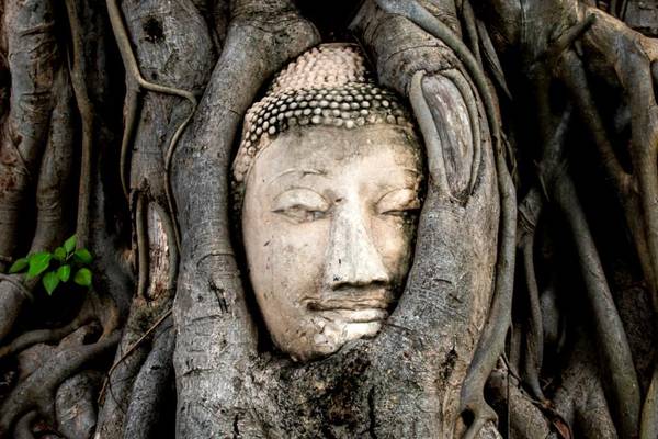 Ayutthaya Wat Maha, Thailand