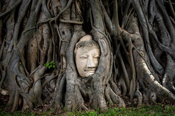 Ayutthaya, Wat Mahathat