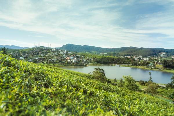 Sri Lanka, Nuwara Eliya, Blick auf den Gregory-Lake