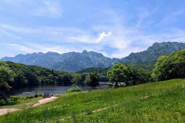 Japan, Nagano, am Mount Togakushi