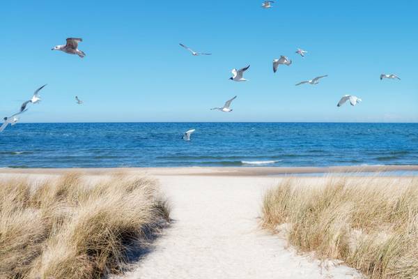 Rügen, Strand