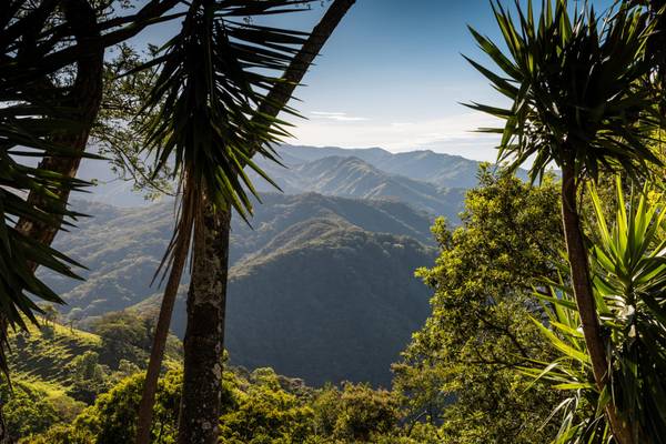 Costa Rica, Monteverde
