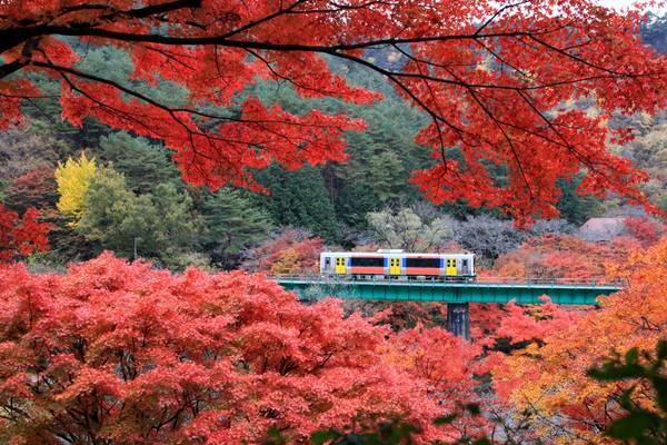 Japan mit dem Railpass im Herbst