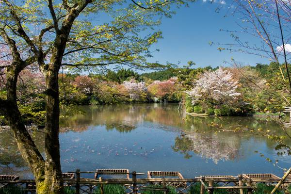 Japan, Kyoto_ Ryoanji-ZenGarten