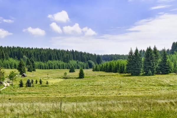 Sachsen, Erzgebirge, Schwarzwassertal, bei Wolkenstein