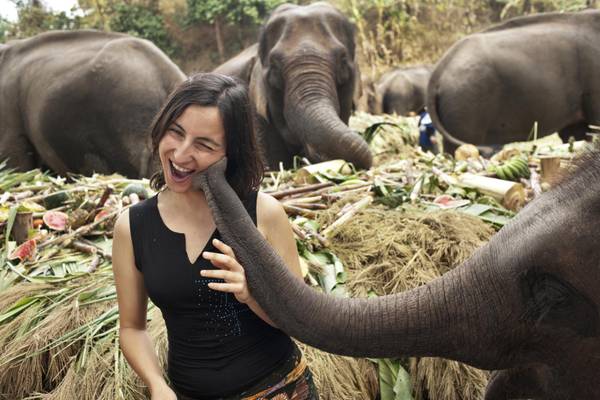 Thailand, Chiang Mai, Elefantenkuss