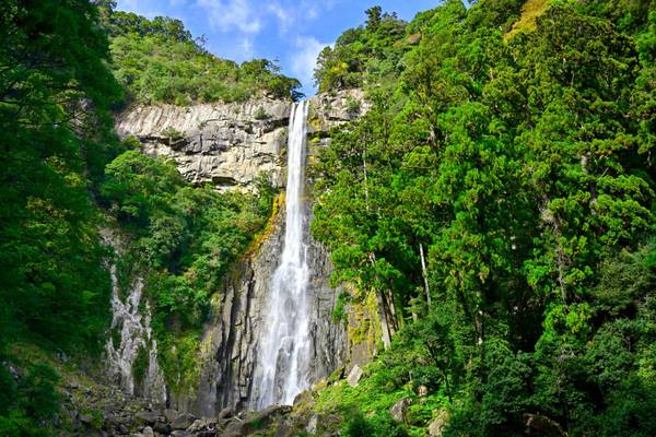 Japan, Die Nachi-Wasserfälle, donnernde Wassermassen in uralten Wäldern