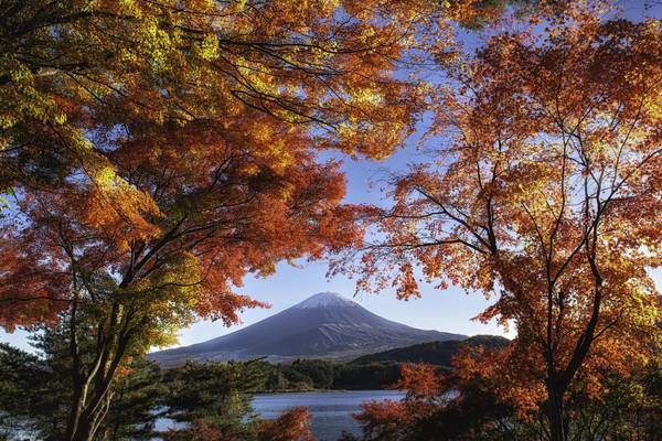 Japan, Herbstlaubfärbung am Fuji