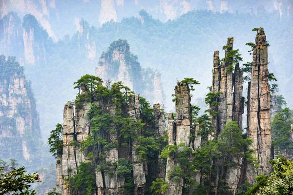 CN_Zhangjiajie-Forest-NP_GI-497441362