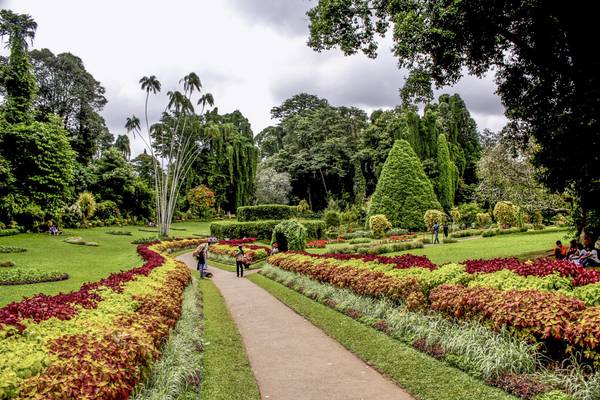 Sri Lanka, Kandy, Royal Botanical Garden