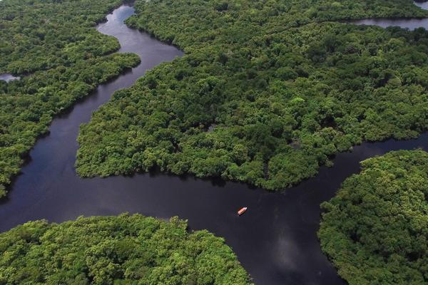 Brasilien, Amazonas Luftaufnahme