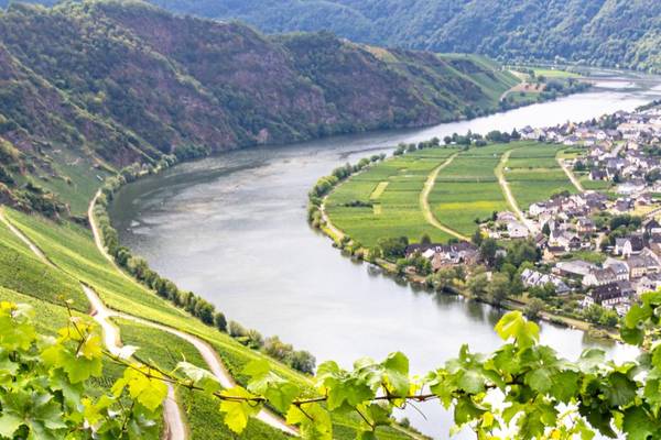 Moselschleife bei Piesport Berkastel Kues