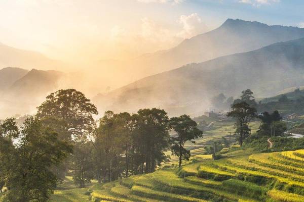 Reisfelder bei Sonnenuntergang in SAPA