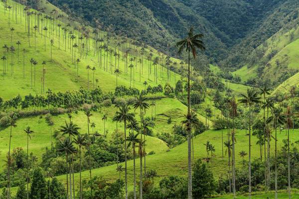 Antioquia