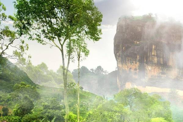 Nebel über Sigiriya