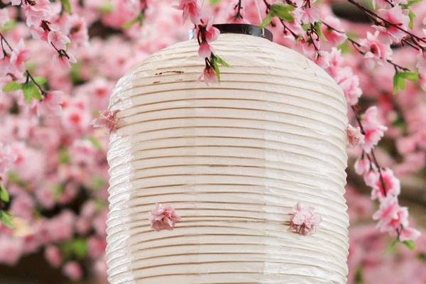 Kirschblüte in Japan