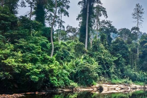 Taman Negara Nationalpark