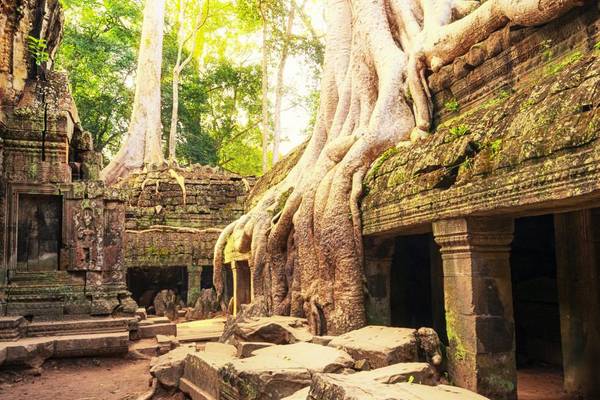 Khemer Tempel in Angkor Wat