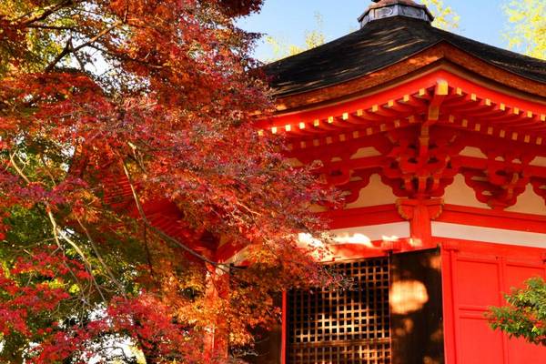 Japan, Kyoto Tofuku-ji Tempel im Herbst