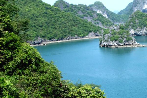 Halong Bucht mit Dschunke