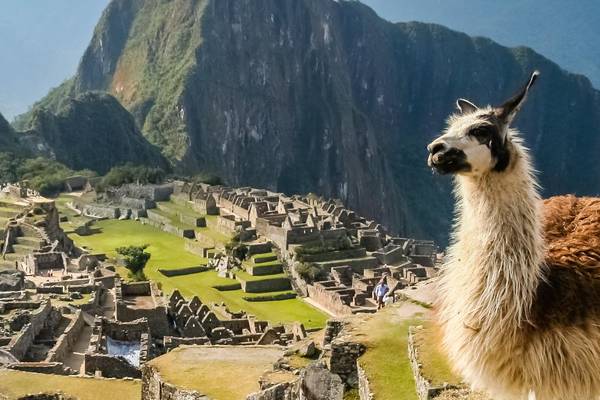 Blick auf den Machu Picchu, Peru