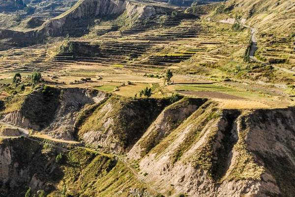 Peru Calcatal