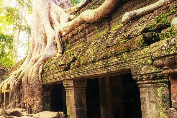 Khmer-Tempel Ta Prohm Kambodscha