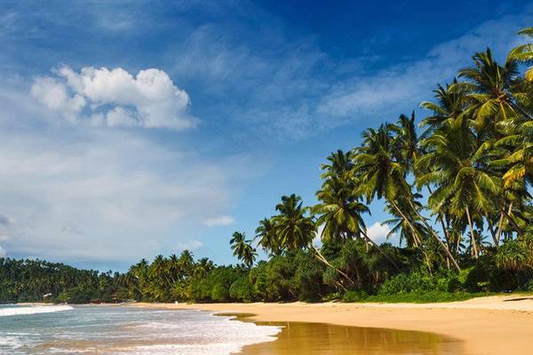 Strand auf Sri Lanka